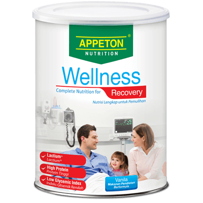 APPETON WELLNESS RECOVERY 450G